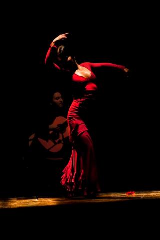 Flamenco Express in performance