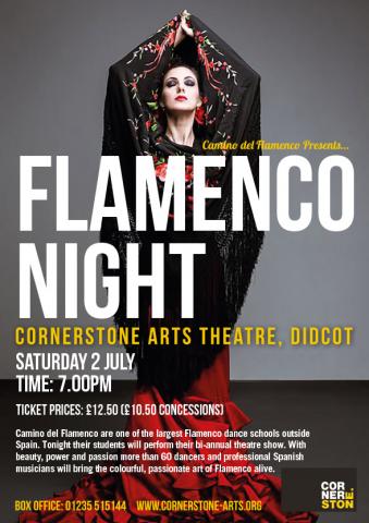 Flamenco Night poster