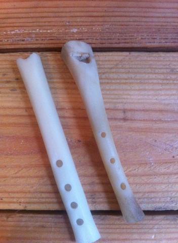 Bone flutes