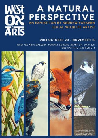 A Natural Perspective - An Exhibition by Andrew Forkner, Local Wildlife Artist