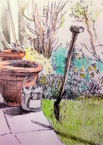 'Corner of the garden' ink and watercolour pencil Robinson 2014.