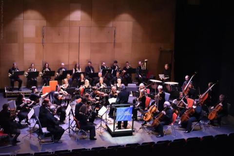 Didcot Concert Orchestra