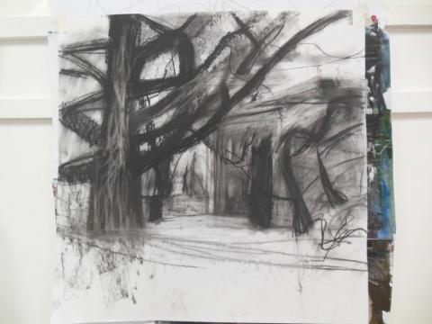 Big Tree Drawing for Painting