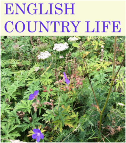 Music at The Limes concert - English Country Life