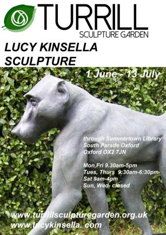 Lucy Kinsella poster