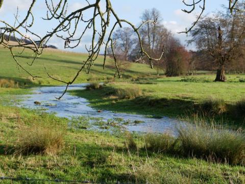 Exploring the Chalk Streams of the Chilterns with Doug Kennedy