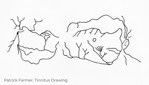 Tinnitus, Auditory Knowledge and the Arts - Drawing by Patrick Farmer