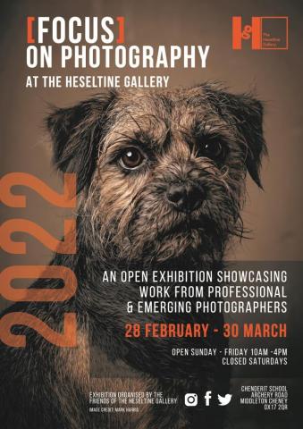 Exhibition Flyer with portrait of dog by Mark Harris