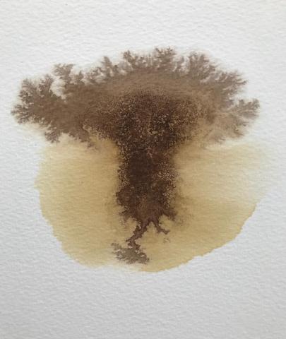 image of tree in plant based ink.
