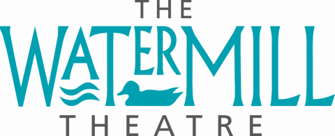 The Watermill Theatre logo in teal. 