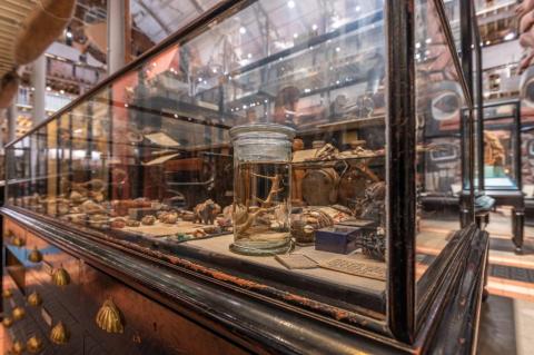 Museum display case with densely crowded artefacts