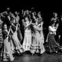 Camino del Flamenco Intermediate level adult students (Oxford classes)