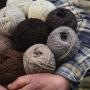 Organic sheep wool yarns in their natural undyed colours. Photo credit: Hatty Frances Bell