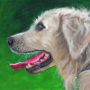 Dog acrylic painting by artist Amy Letts