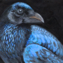 Raven acrylic painting by artist Amy Letts